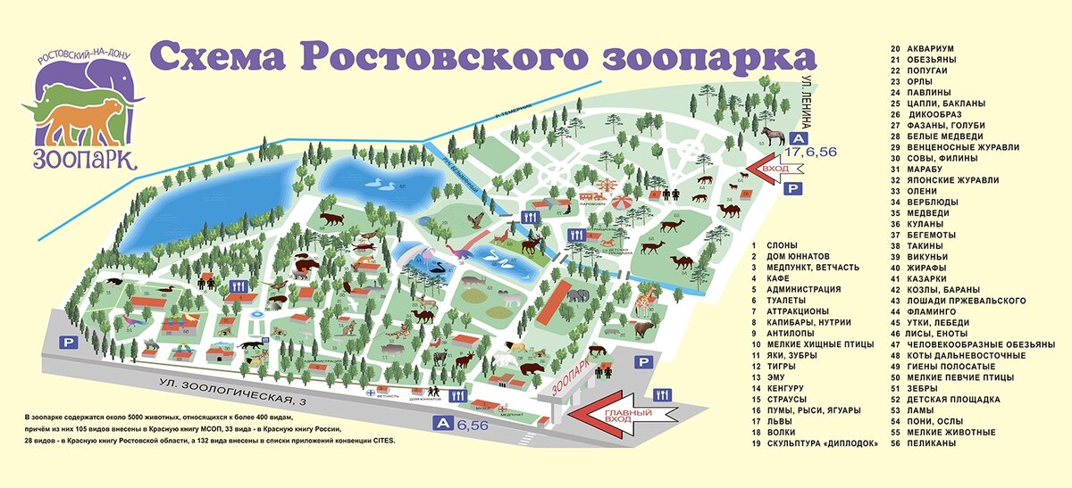 Схема зоопарка ростов на дону