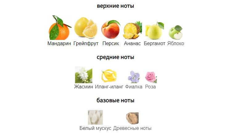 fragrantica.ru