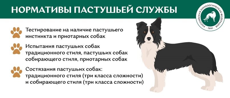 Нормативы пастушьей службы