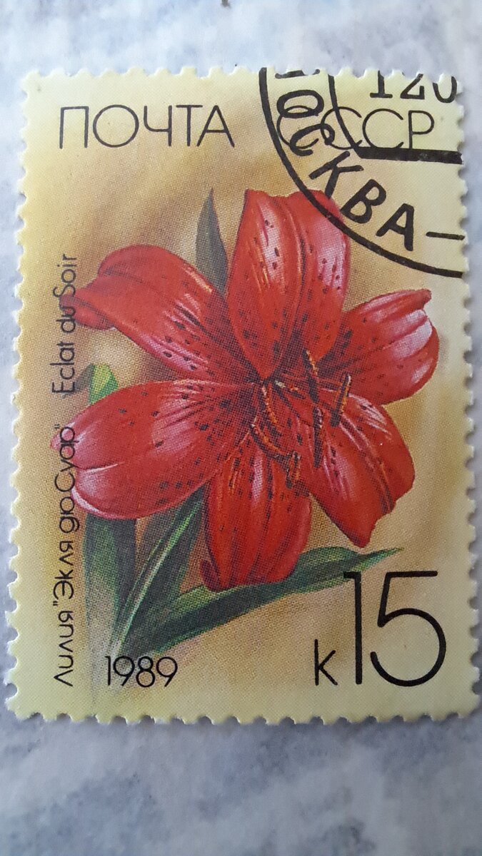 Фото автора из личной коллекции.