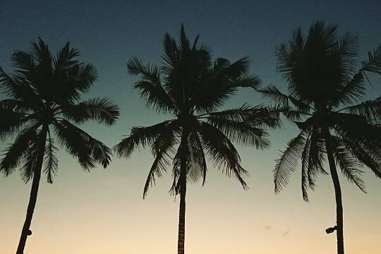    На Бали заметили баннеры с демонстративным предупреждением для россиян