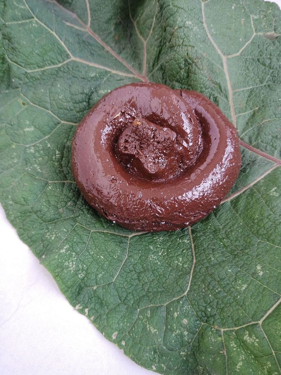 Какашки мыть. Веселая какашка. Какашки мыть. Нарисовать какашку. Унитаз с какашкой внутри.