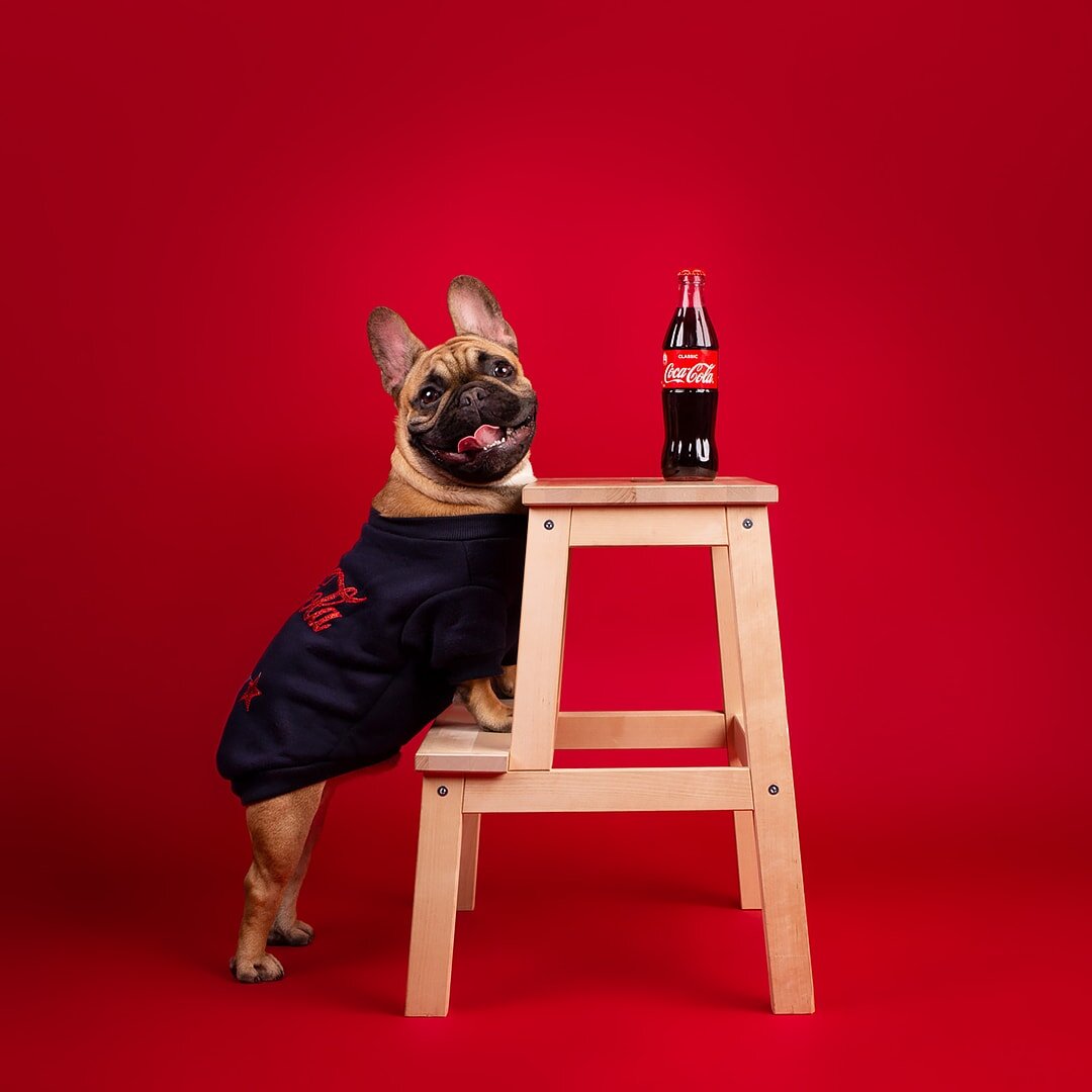 Фред- фотозвезда