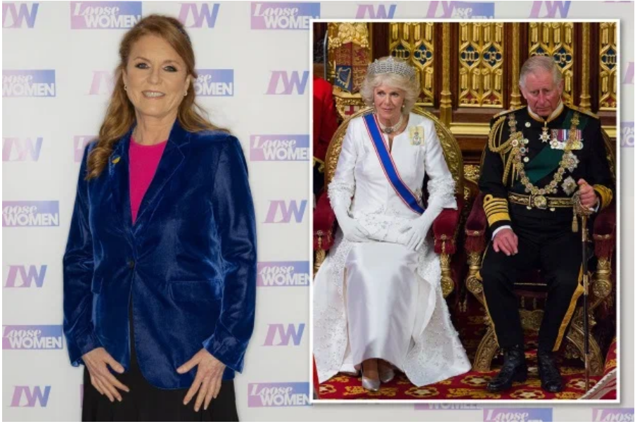 Фото из сети Интернет