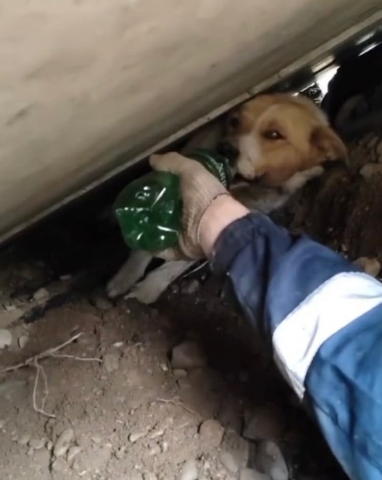     Фото: ГУ МЧС России по ЕАО