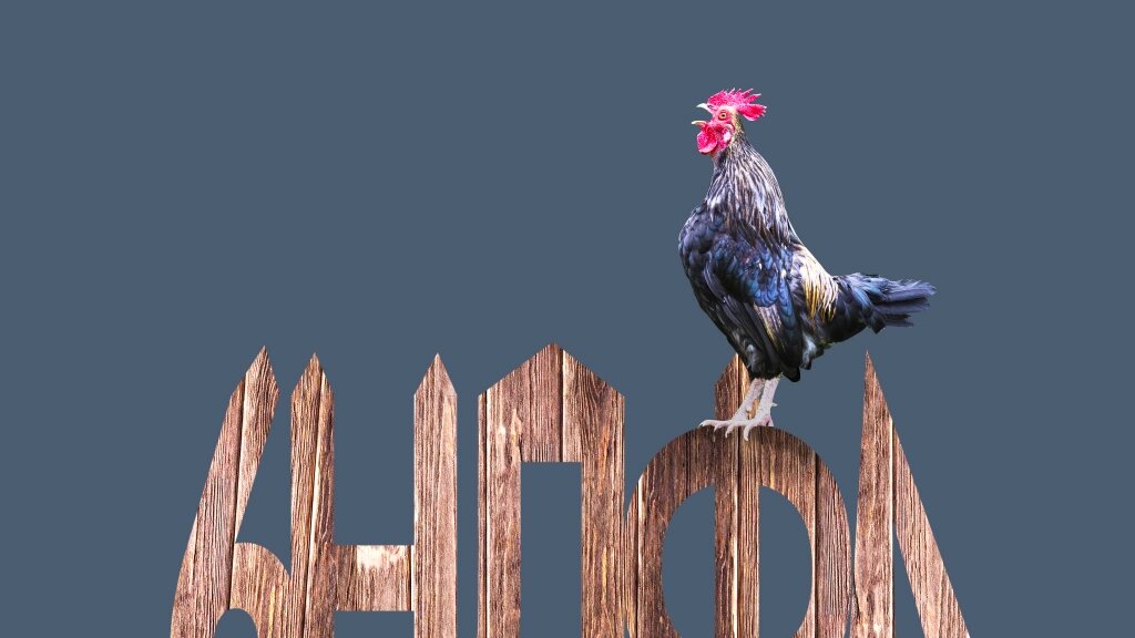 Иллюстрация: Вера Ревина/Клерк.ру