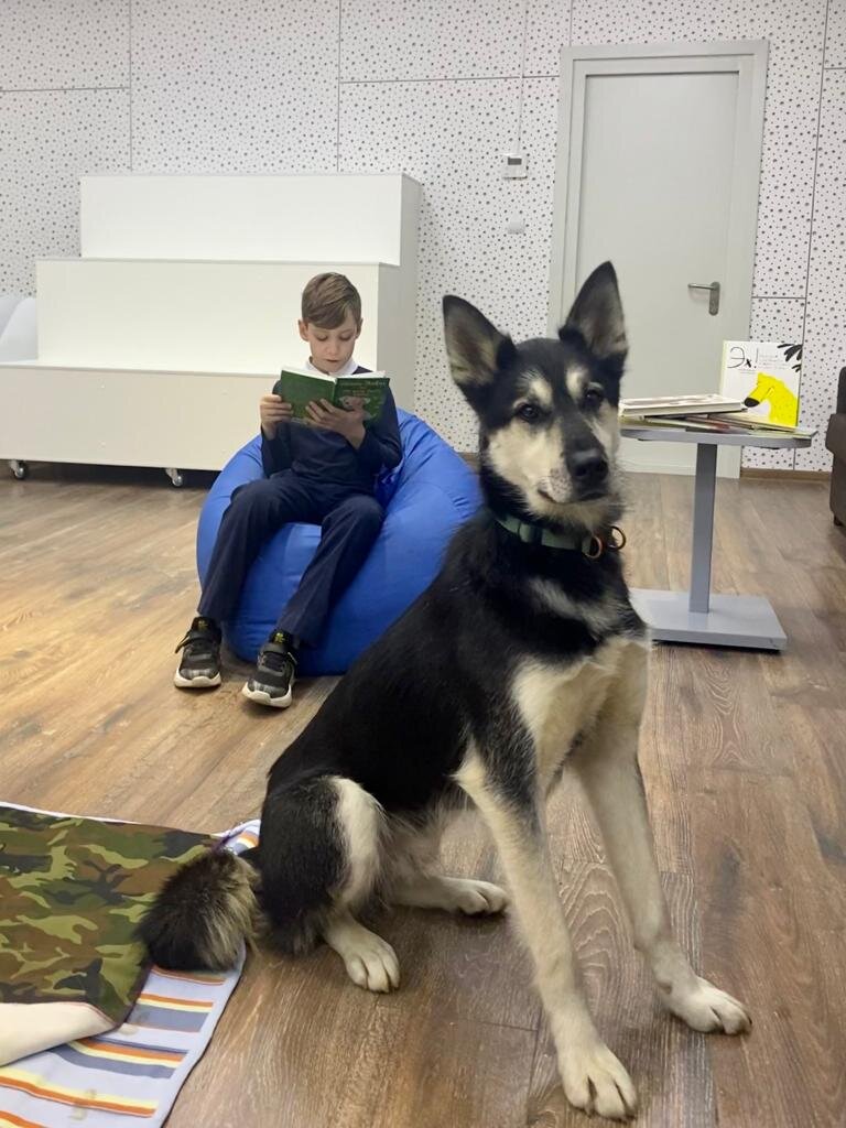 «Пропал я, пропал!», или Письмо бездомного пса