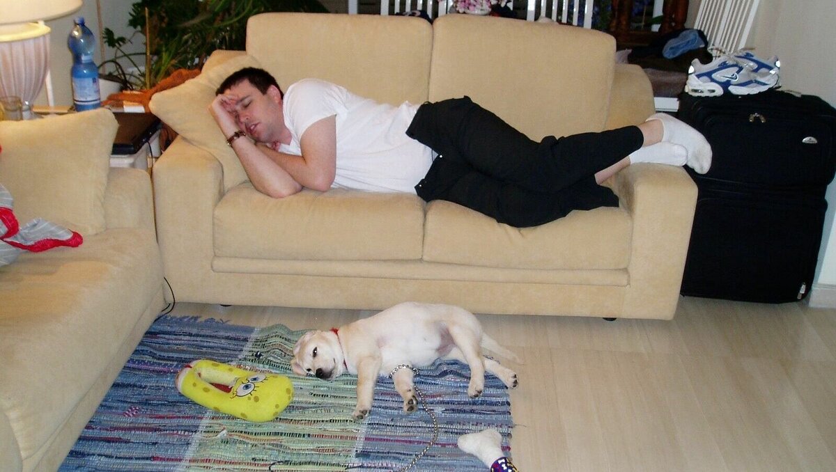     В Ростовской области могут ввести запрет на шум после 22.00 мск, данные об этом появились в системе обеспечения законодательной деятельности.