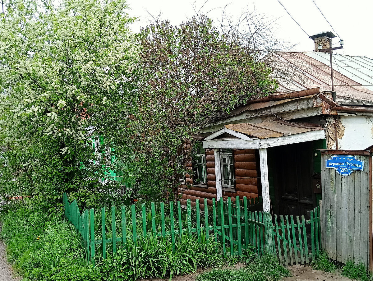 Зацвела черемуха