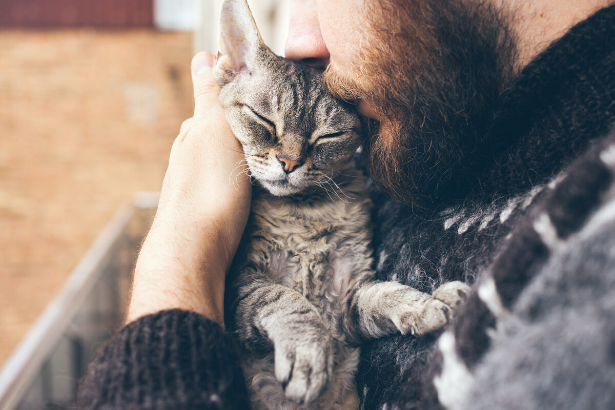 источник фото: https://www.corydonanimalhospital.ca/wp-content/uploads/sites/80/2019/02/shutterstock_706770268.jpg