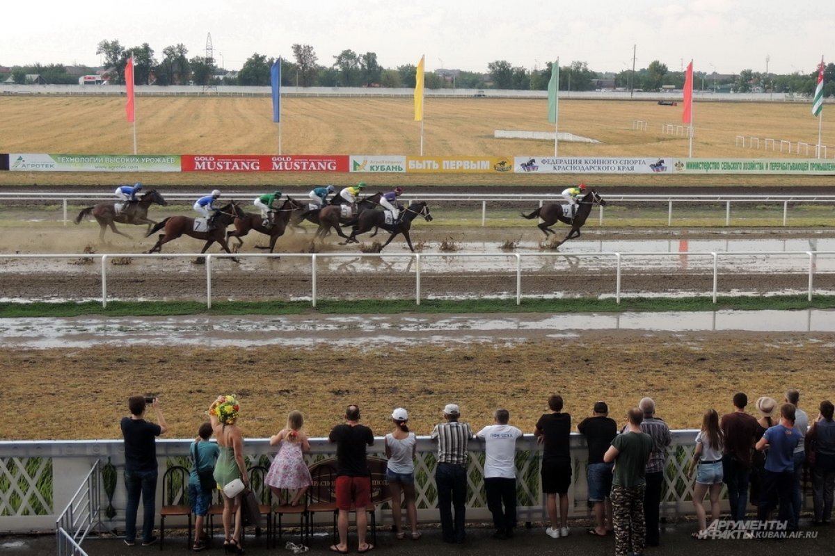    Открытие скакового сезона на Краснодарском ипподроме перенесли на 13 мая