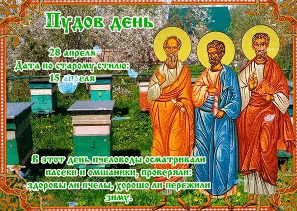 Фото из свободного доступа 