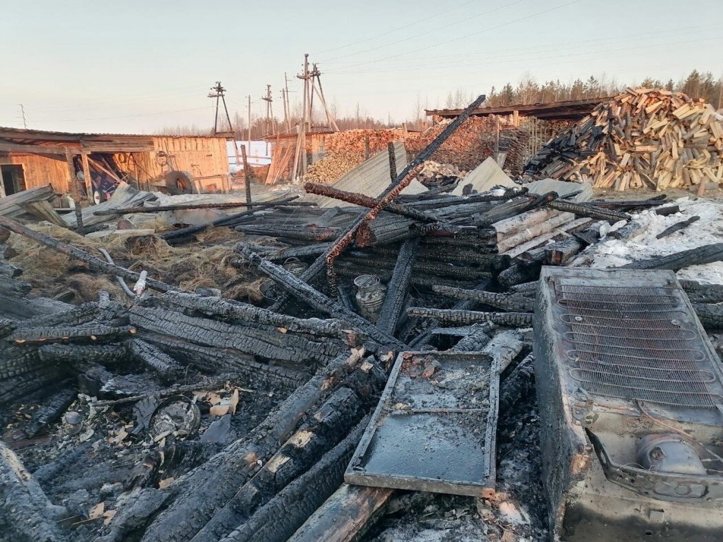 Фото народного корреспондента