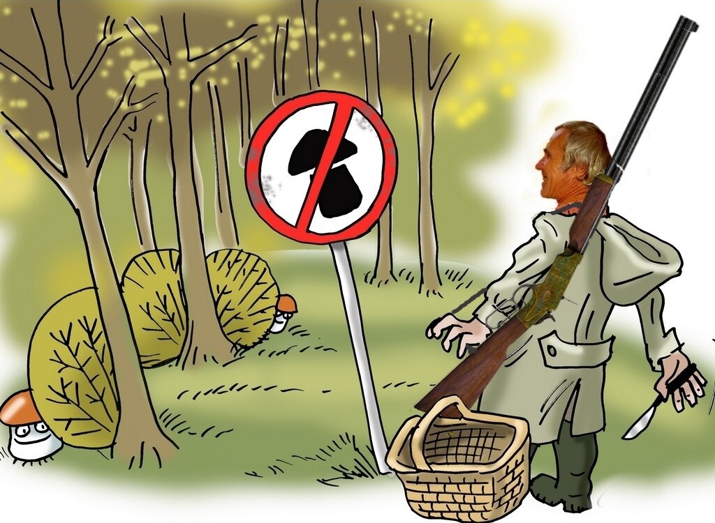 Источник изображения: открытая сеть интернета