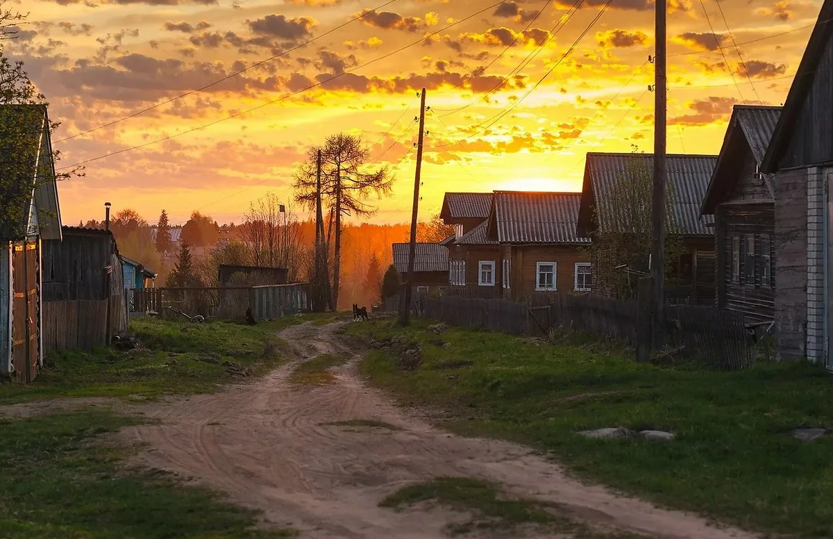 Яндекс картинки