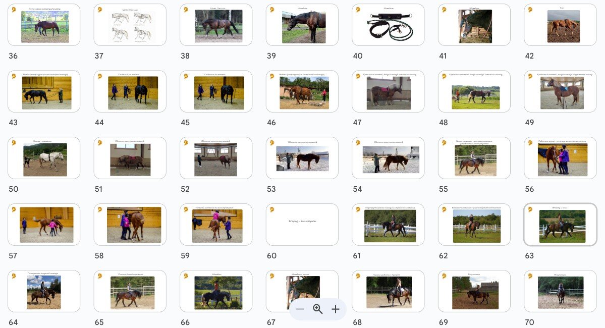 Слайды вебинара