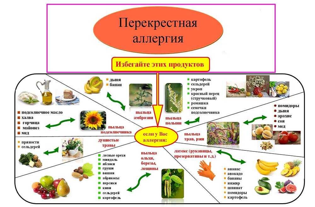 Питание при бронхиальной астме. Перекрестная диета при аллергии. Перекрестные реакции при аллергии. Поллиноз перекрестные реакции на продукты. Перекрестные продукты при аллергии на березу.