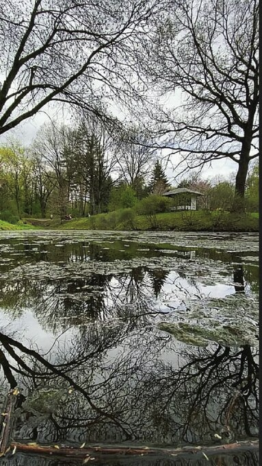 Фото автора.