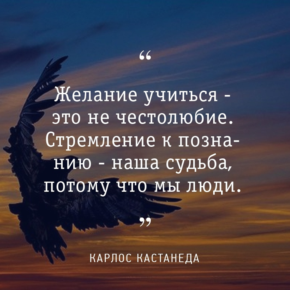 Карлос Кастанеда цитаты. Кастанеда цитаты о жизни. Карлос Кастанеда цитаты о жизни. Афоризмы Карлоса Кастанеды цитаты.