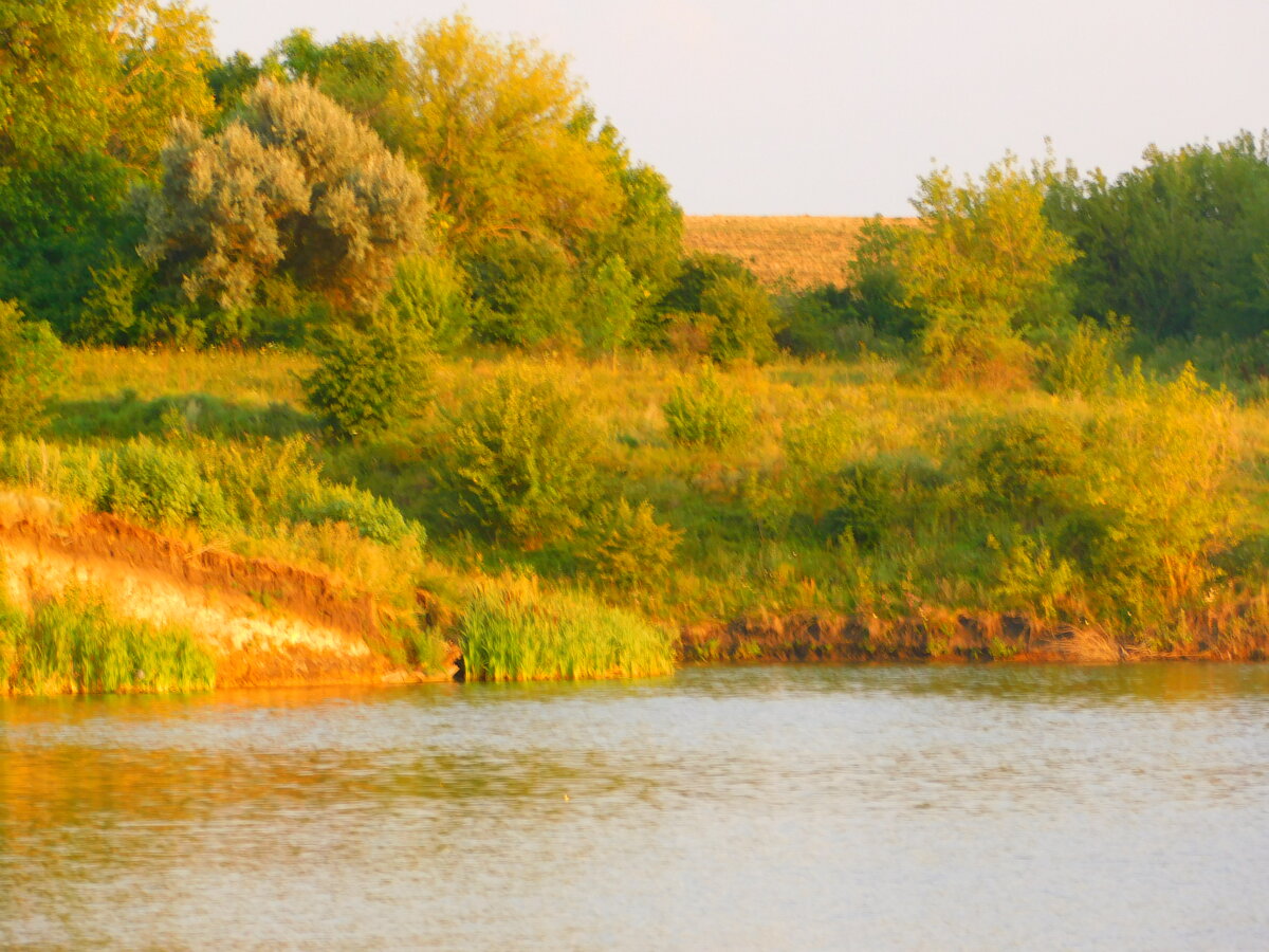 Фото автора канала