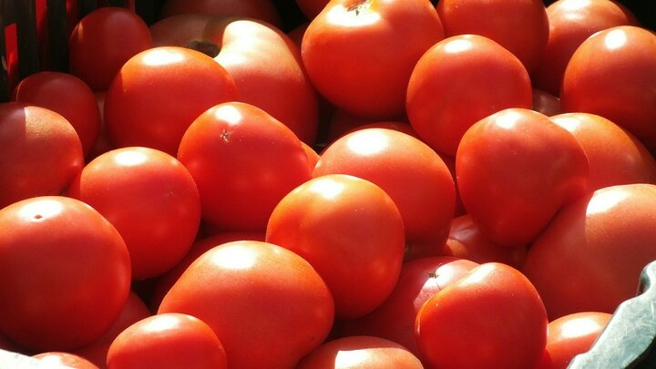 ФОТО: VICTOR LISITSYN/GLOBALLOOKPRESS