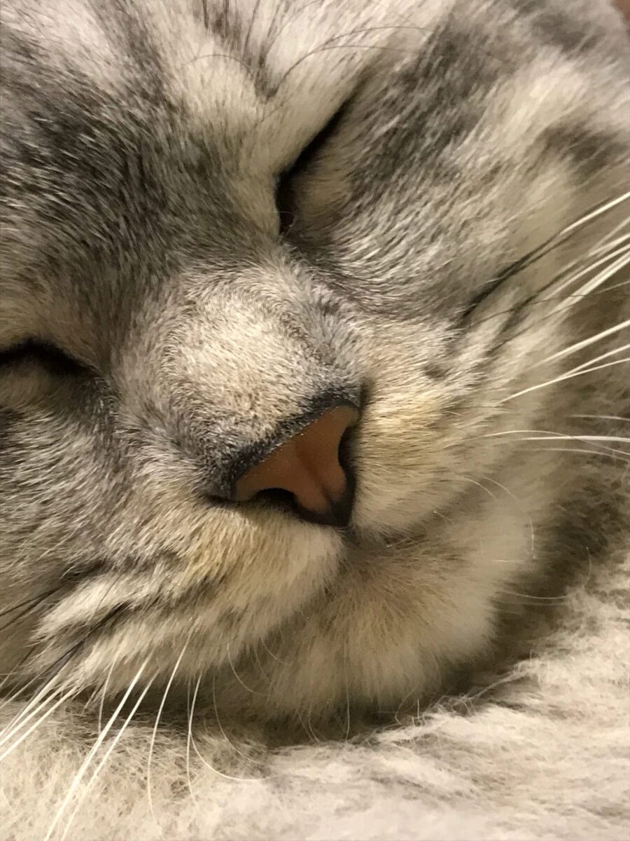 Почему женщинам от 30 до 40 лет, так сложно стало выйти замуж?