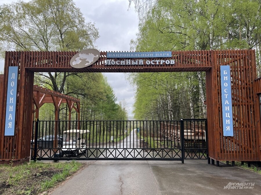    Парк «Лосиный остров». Фото:  АиФ/ Виолетта Бурлакова