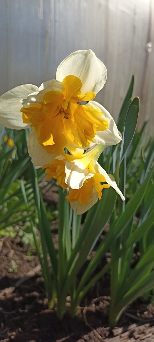 Фото из личного архива