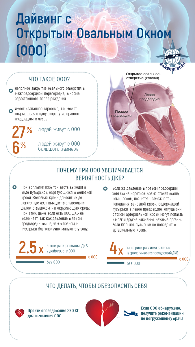 Дайвинг с Открытым Овальным Окном (ООО). Как снизить риски?*инфографика |  Дайвинг Всем | Дзен