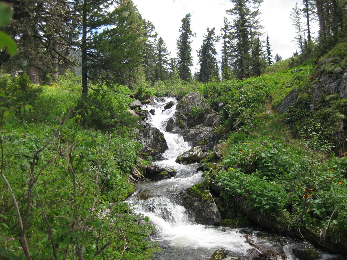 Фото: Татьяна Викторова