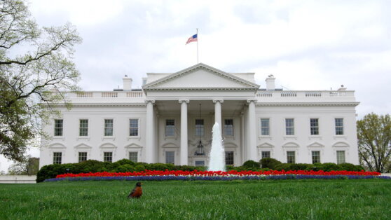    Белый дом отрицает участие США в атаке беспилотников на Кремль Анастасия Романова