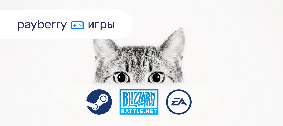 Оплата стим. Payberry логотип. Payberry пополнение стим. Pay berry steam. Pay berry steam.