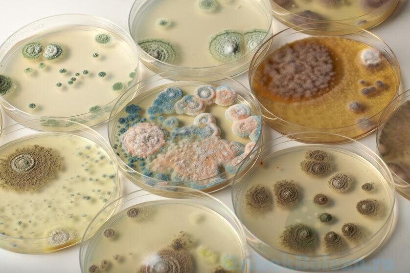    Фото: из открытых источников