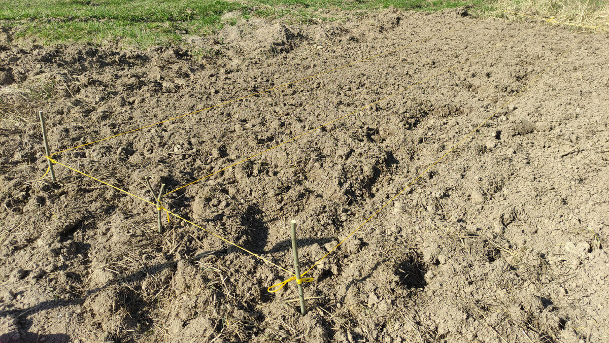 ширина грядки и прохода 60*60 см. Но может и больше(меньше получилось). 
