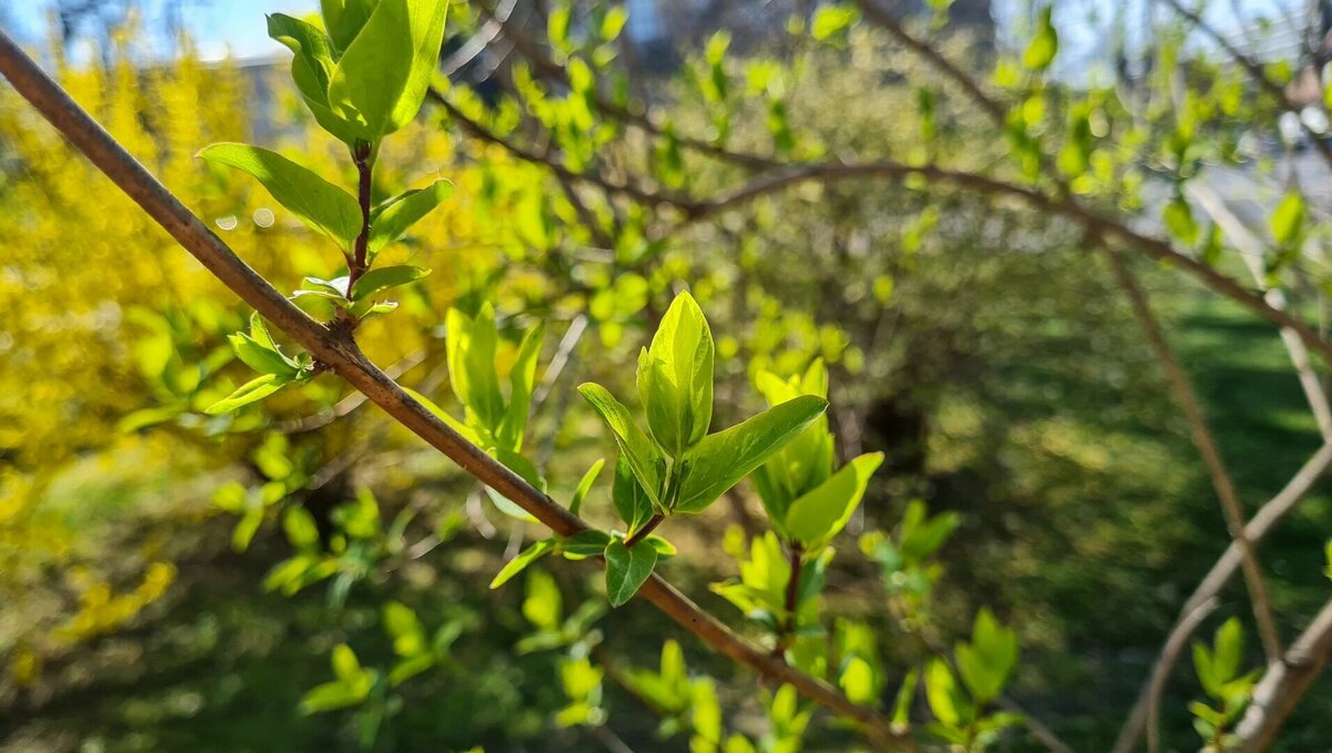     Самые значимые события недели.