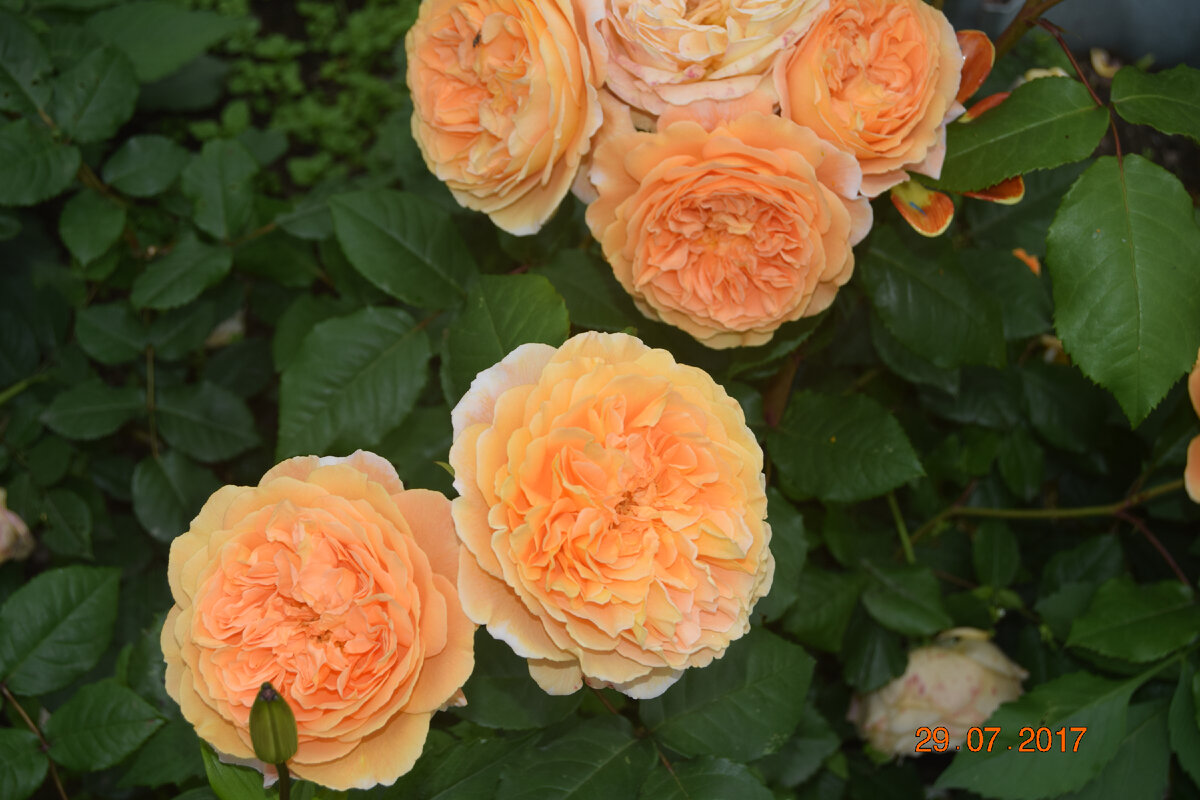 Фото из личного архива.