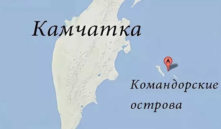 Командорские острова где находится в африке Фото КОМАНДОРСКИЕ ОСТРОВА СОСТАВ
