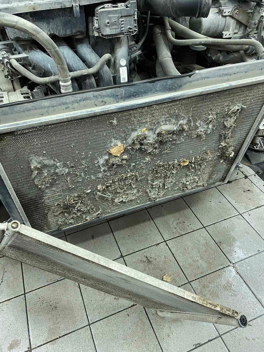 Так было на служебном Caddy 2016 г.