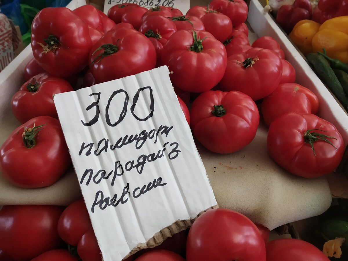 Фото автора публикации