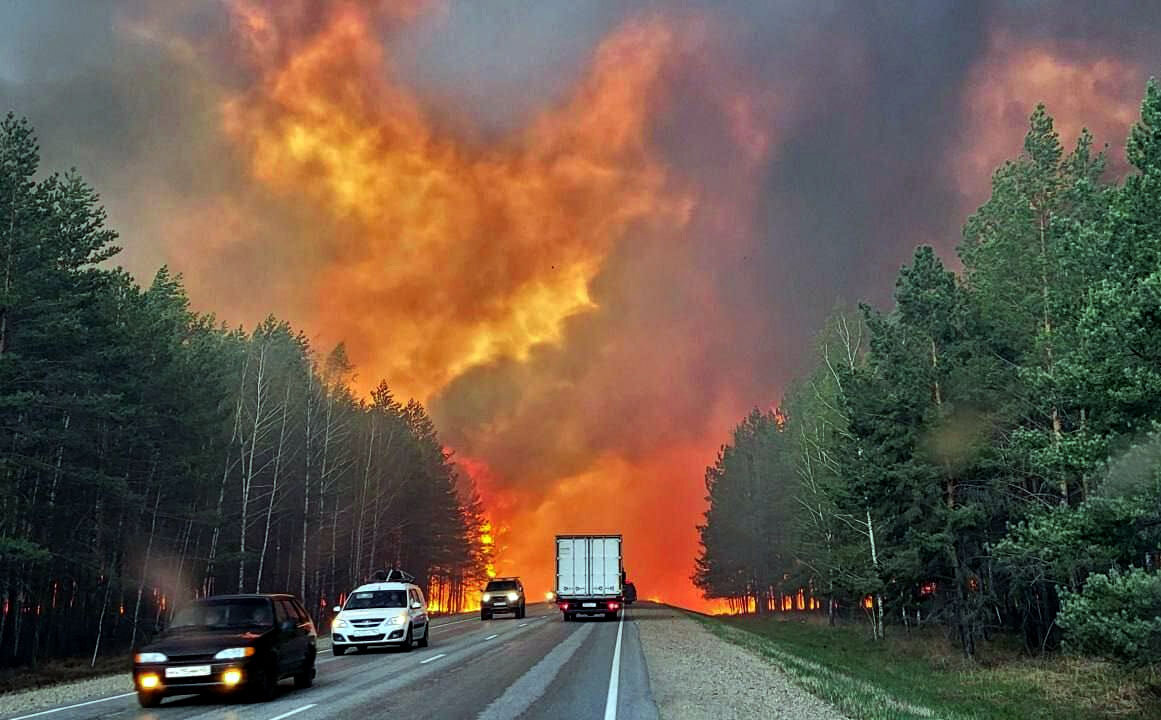 Хозяйственная разруха, как причина 20-ти кратного роста площади пожаров в России