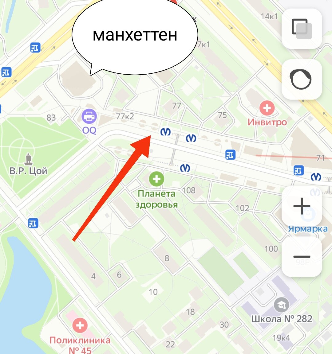 Автобус в Низино 639 б, где остановка у метро ветеранов, спб | Разбираемся  в озеленении | Дзен