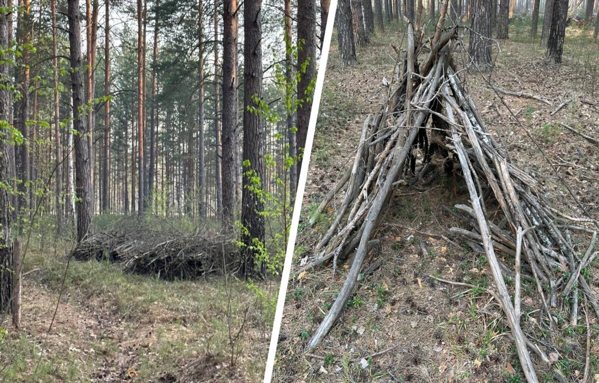 из леса с криком вылетали новгородские полки