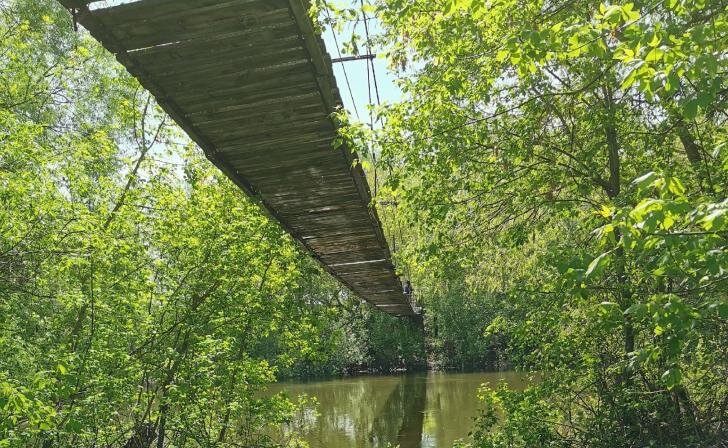    фото со страницы Романа Кириллова