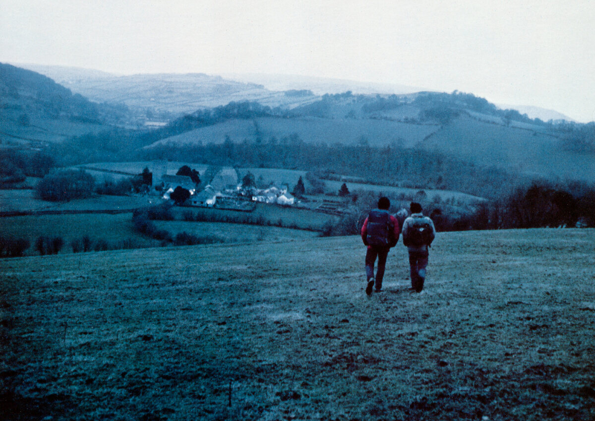 Американский оборотень в Лондоне (1981, США, фильм ужасов / комедия): Чужак  в большой деревне, лесополосе и городе | Владимир Гордеев | Дзен