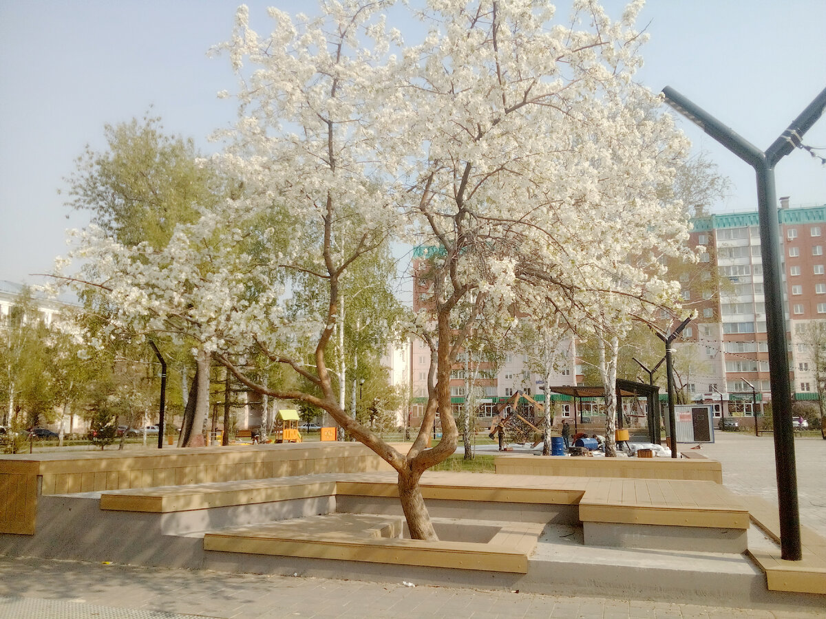 Все фотографии в публикации - авторские. Иллюстрации в самом конце созданы нейросетью по моему запросу