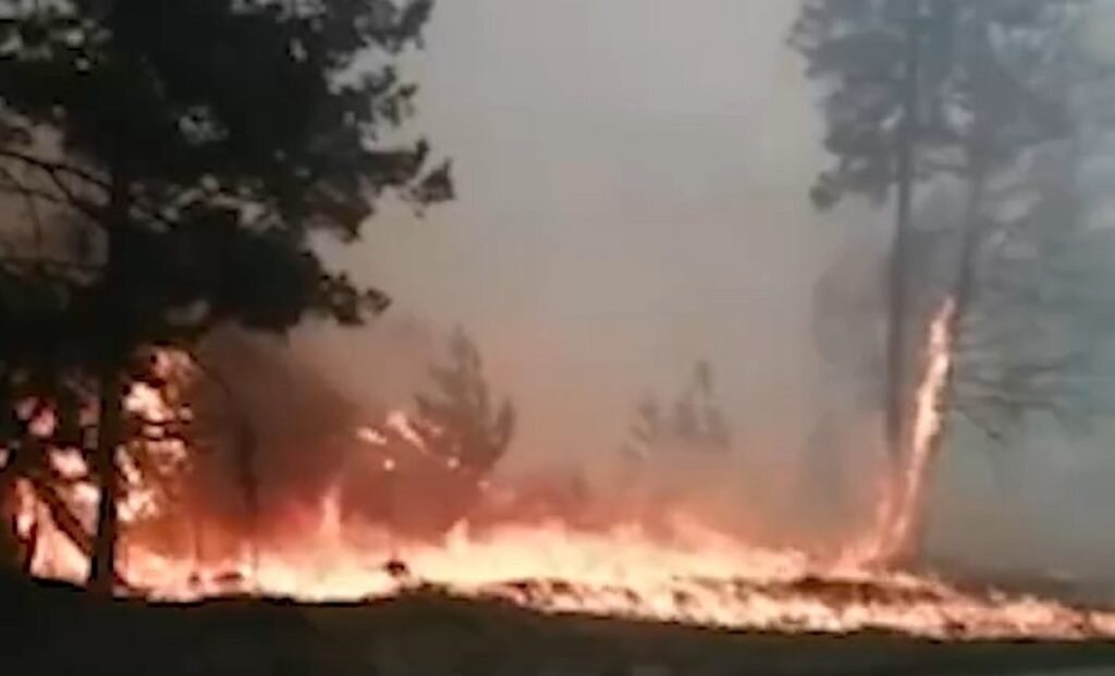    Фото: Скриншот видео Юлия Дидух