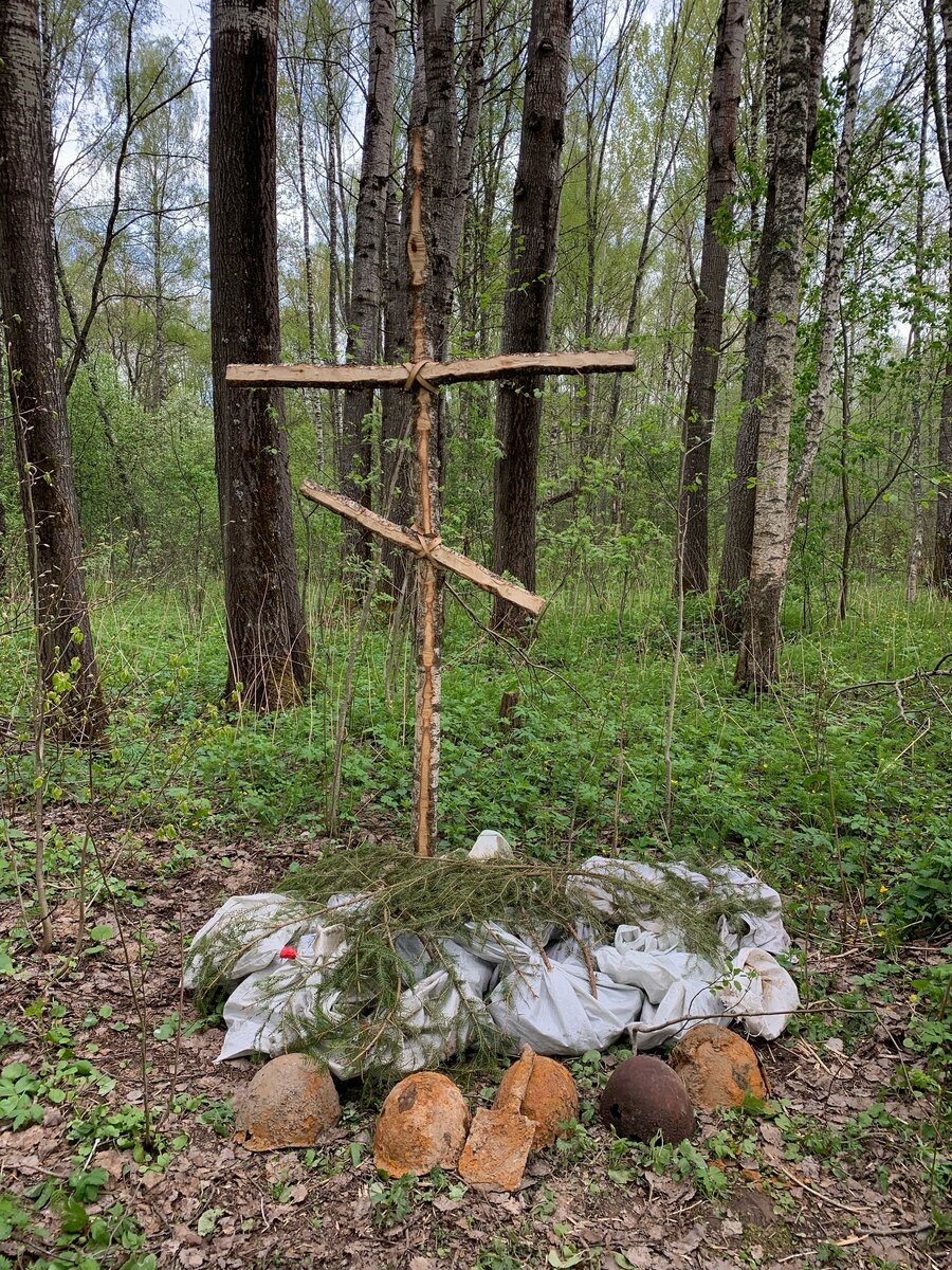 Военная археология. Один день Поисковика на Вахте Памяти по местам сражений  ВОВ. Рабочие будни и быт в полевых условиях. | Заметки туриста. | Дзен