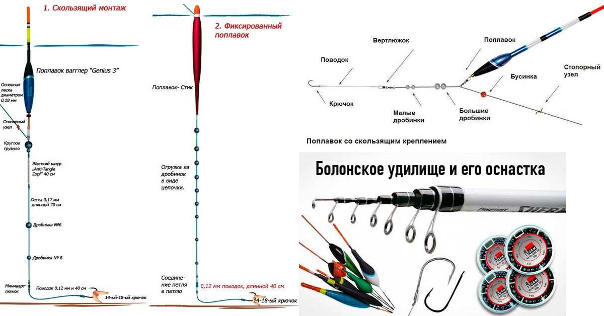 Фото с сайта: https://cgbmyski.ru