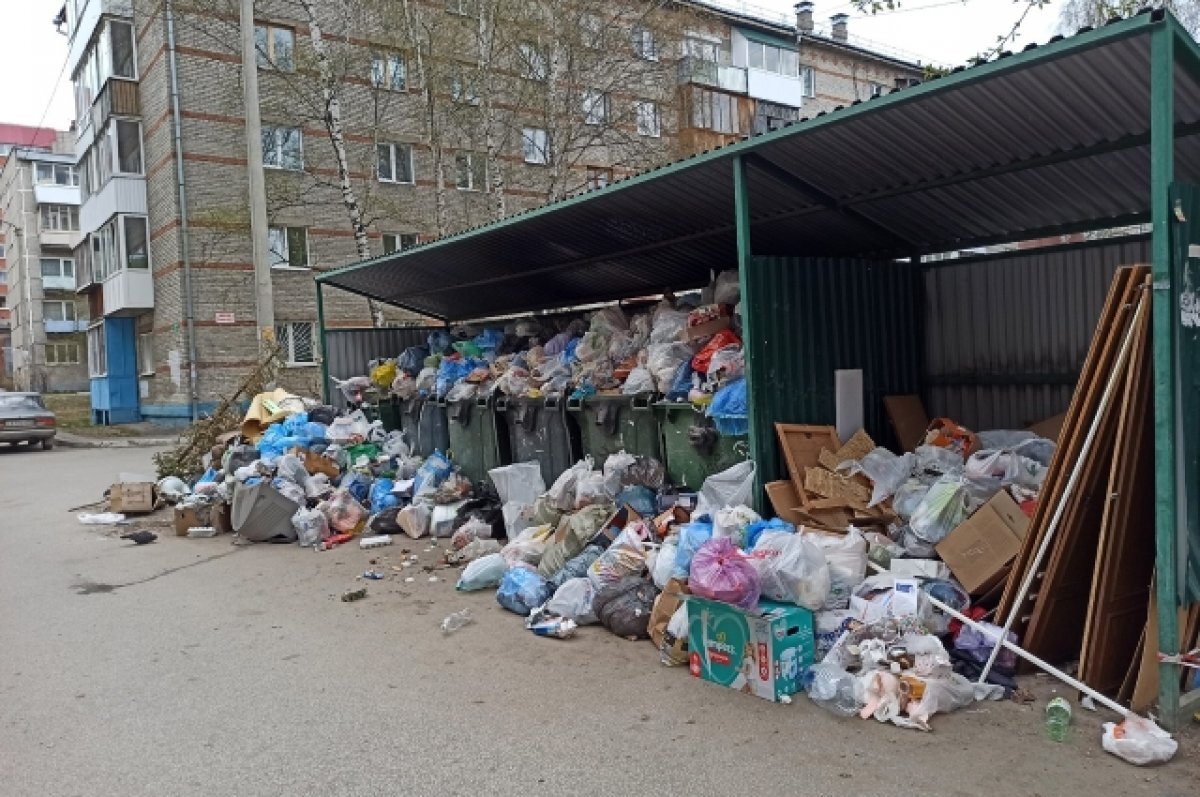    Томичи жалуются на переполненные мусорные контейнеры на Тверской
