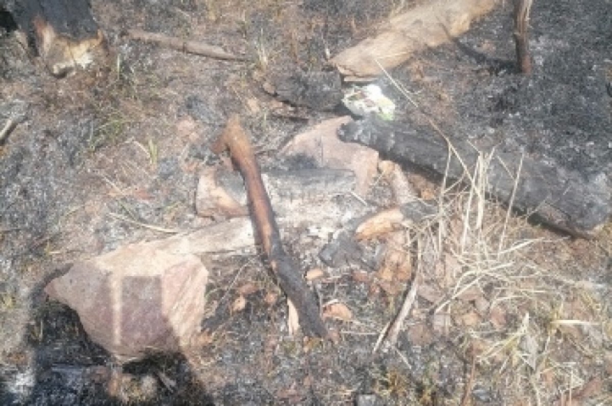    В Бурятии двое рыбаков устроили пожар в лесу